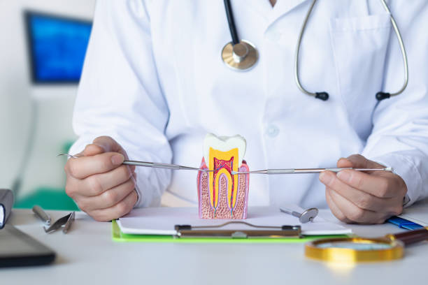 Best Emergency Root Canal Treatment in Huntington, TX